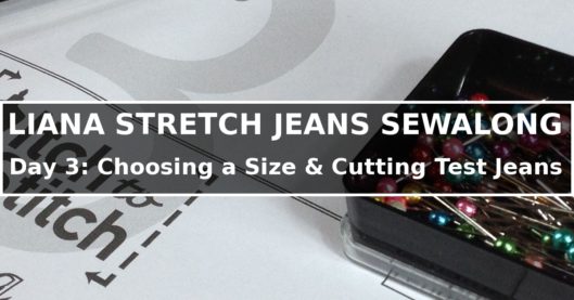 Liana Stretch Jeans Sewalong Day 3